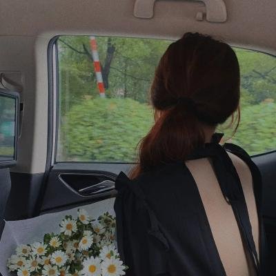 艾尔莎与弗雷德